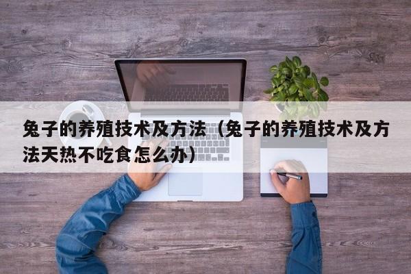 兔子的养殖技术及方法（兔子的养殖技术及方法天热不吃食怎么办）