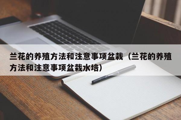 兰花的养殖方法和注意事项盆栽（兰花的养殖方法和注意事项盆栽水培）