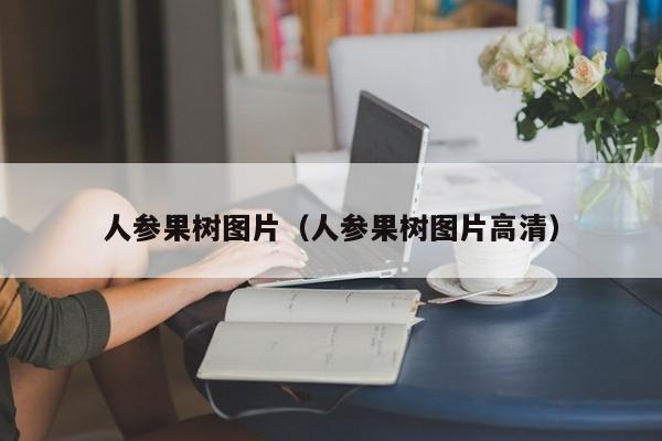 人参果树图片（人参果树图片高清）