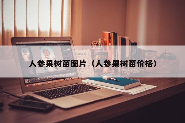 人参果树苗图片（人参果树苗价格）