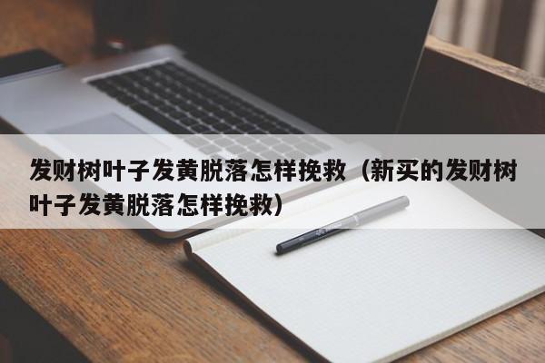 发财树叶子发黄脱落怎样挽救（新买的发财树叶子发黄脱落怎样挽救）