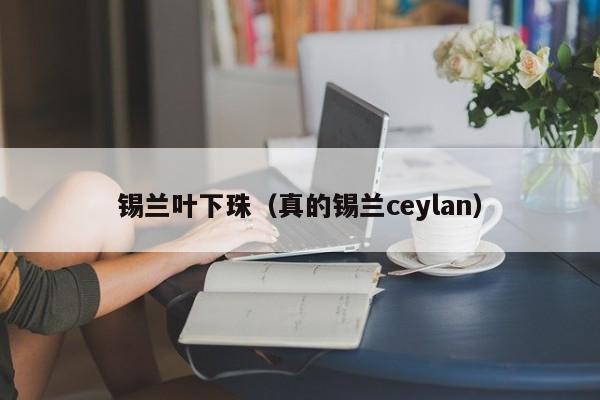 锡兰叶下珠（真的锡兰ceylan）