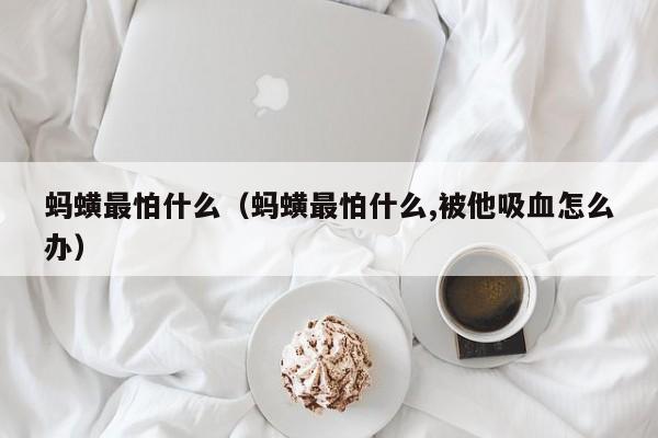 蚂蟥最怕什么（蚂蟥最怕什么,被他吸血怎么办）