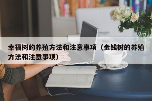 幸福树的养殖方法和注意事项（金钱树的养殖方法和注意事项）