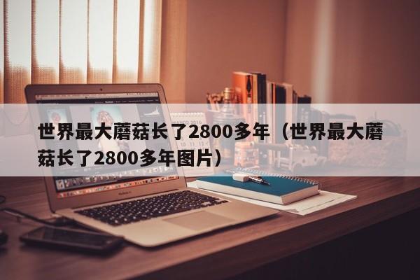 世界最大蘑菇长了2800多年（世界最大蘑菇长了2800多年图片）