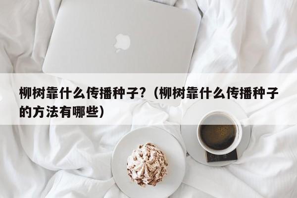 柳树靠什么传播种子?（柳树靠什么传播种子的方法有哪些）