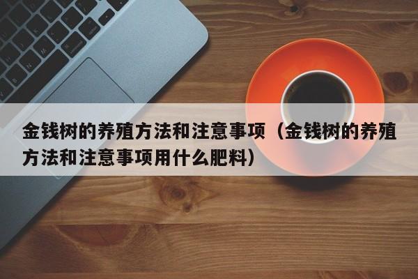 金钱树的养殖方法和注意事项（金钱树的养殖方法和注意事项用什么肥料）