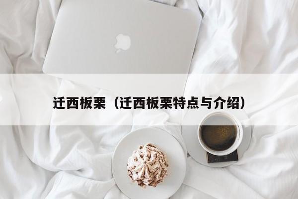 迁西板栗（迁西板栗特点与介绍）