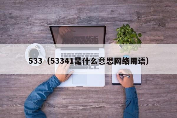 533（53341是什么意思网络用语）