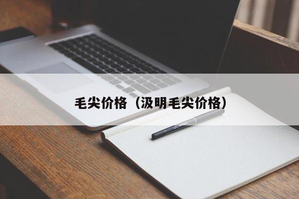 毛尖价格（汲明毛尖价格）