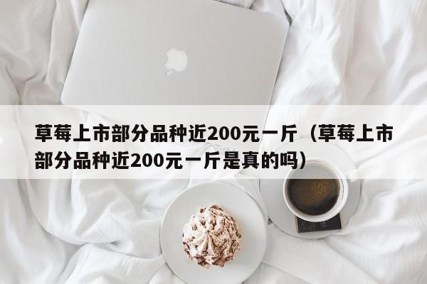 草莓上市部分品种近200元一斤（草莓上市部分品种近200元一斤是真的吗）