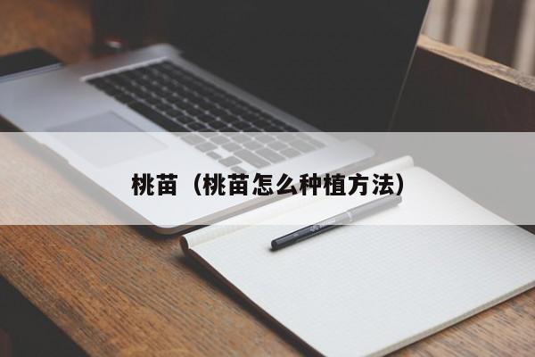 桃苗（桃苗怎么种植方法）