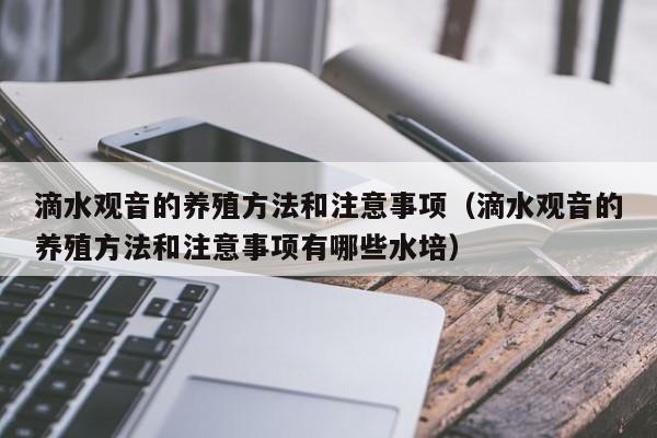 滴水观音的养殖方法和注意事项（滴水观音的养殖方法和注意事项有哪些水培）