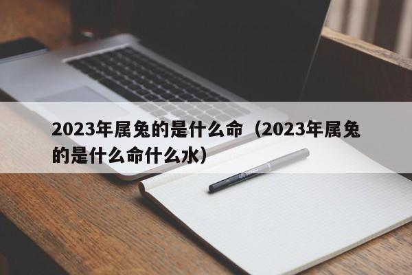 2023年属兔的是什么命（2023年属兔的是什么命什么水）