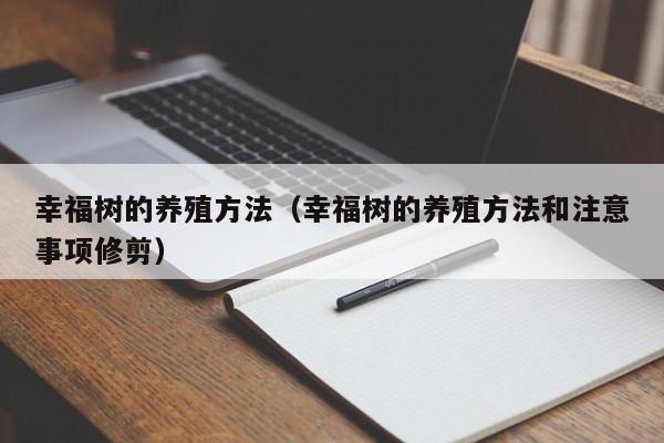 幸福树的养殖方法（幸福树的养殖方法和注意事项修剪）