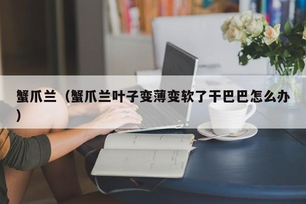 蟹爪兰（蟹爪兰叶子变薄变软了干巴巴怎么办）