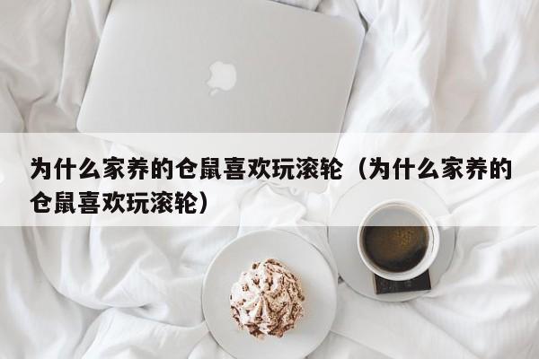 为什么家养的仓鼠喜欢玩滚轮（为什么家养的仓鼠喜欢玩滚轮）